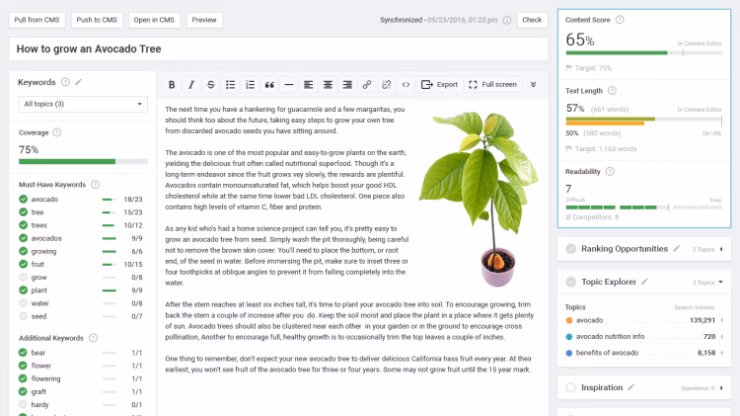 Via Conductor Searchmetrics Content Experience
